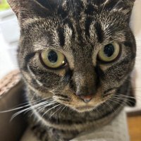 まる (@b059lxnnow38993) 's Twitter Profile