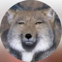 ์ด๋ด์๋ฆฌ ๋ฐฑ์
๊ณ (@bom_batta) 's Twitter Profile Photo ์ด๋ด์๋ฆฌ ๋ฐฑ์
๊ณ (@bom_batta) 's Twitter Profile Photo