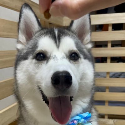 Tkhs539705Tkhs's profile picture. 会える屋さん　　　　　　　　　　　　　　　tus 2k 6k