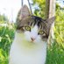Jasper, Cousteau🌈, Mini and Amelie in Switzerland (@jasper_swiss) Twitter profile photo Jasper, Cousteau🌈, Mini and Amelie in Switzerland (@jasper_swiss) Twitter profile photo