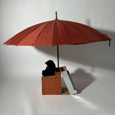 mooon_1216's profile picture. 福井 建築 b4