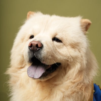 Nsvn7797's profile picture. 