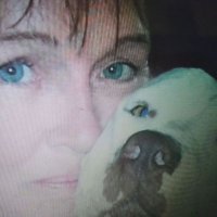 harlybluu (@harlybluu1) 's Twitter Profile