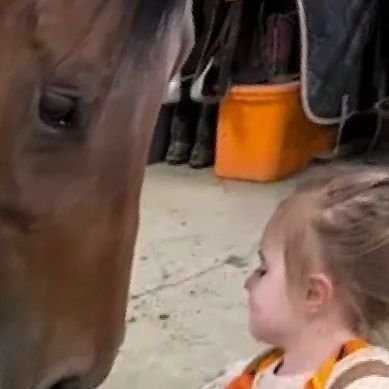 xa4nkX6WK8uDcqO's profile picture. 人生を楽しく生きることだけを考えている人間です。