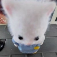 𝑆 (@dal91ki) Twitter profile photo