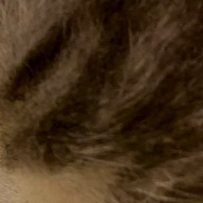 isisisiisisq_p's profile picture. いろいろ