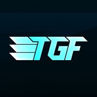 Team G-Force (@tgf_f1) 's Twitter Profile
