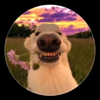 mybe_ltr's profile picture. 