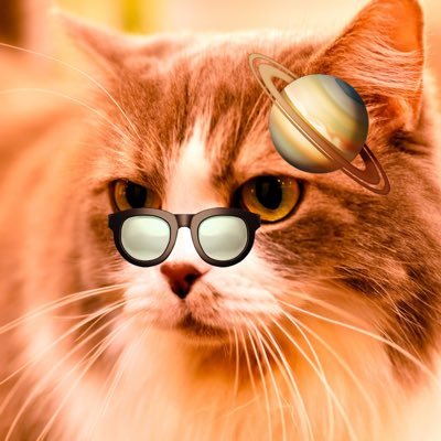 shinichirofstar's profile picture. 宇宙とクイズと写真と法律と海と神話が大好き⭐️ 各種写真、星空観望会の情報、日常の小ネタなどを上げますので見てね！ NPO法人小さな天文学者の会会員、NPO法人星のソムリエ機構会員、一般社団法人天文教育普及研究会一般会員✨ 気軽にフォローしてくださいませ💫 別アカ @sfujiistar で天文系クイズを投稿中❗️