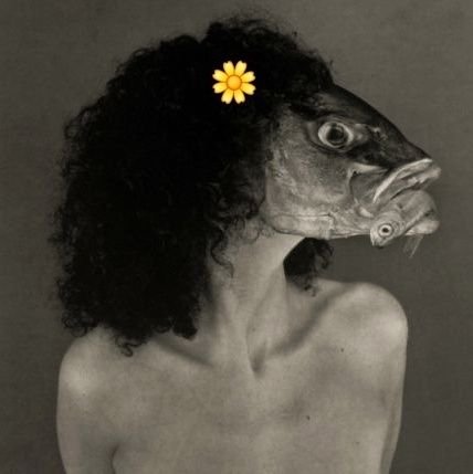 ByeIran's profile picture. می‌آید هر آنچه بآید