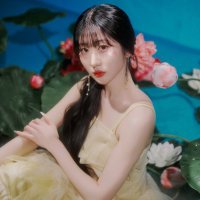 idols in yellow!! 🌼 (@idolsinyelllow) 's Twitter Profile