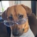 Humphrey (@humphreywacho) Twitter profile photo Humphrey (@humphreywacho) Twitter profile photo