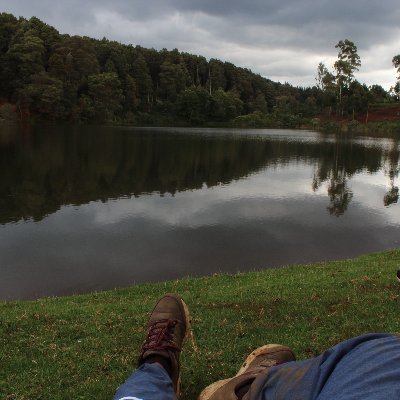 asscraque's profile picture. 