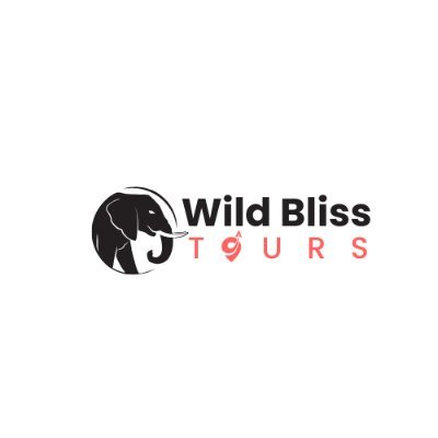 WildBlissTours's profile picture. Embark on the ultimate Kenyan wild adventure with our expertly curated tour packages