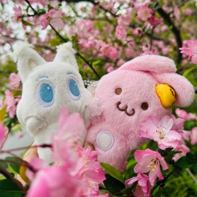 milky2469's profile picture. 🐯 Yo Dream! 🦊🐶🐻🐰🐬🐹 쩔어 주자 화이팅! 런쥔#세상을비추는자