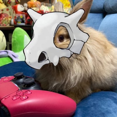 KoNatu_Kedama's profile picture. ミニライオンラビット♀ けだまちゃん🐇 の写真多め /ポケモン多めの雑多垢/