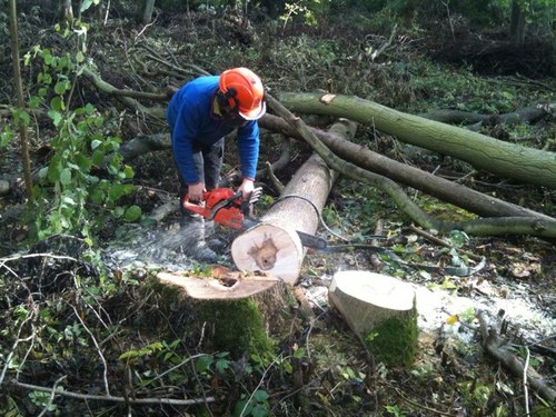 cef1963's profile picture. 