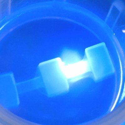 Organic Functional Design Lab 東大院工 有機機能設計学研 / We tackle unprecedented reactions, molecules, and functions by integrating new elements into innovative structure