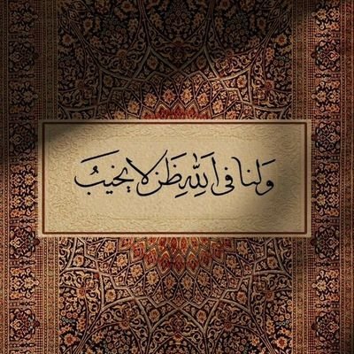 fxv113's profile picture. 