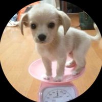 ๋๊นก (@l73179263) 's Twitter Profile Photo ๋๊นก (@l73179263) 's Twitter Profile Photo