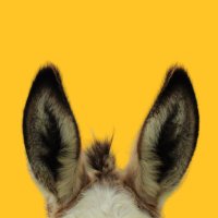 Big Ass Fans (@bigassfans) 's Twitter Profile