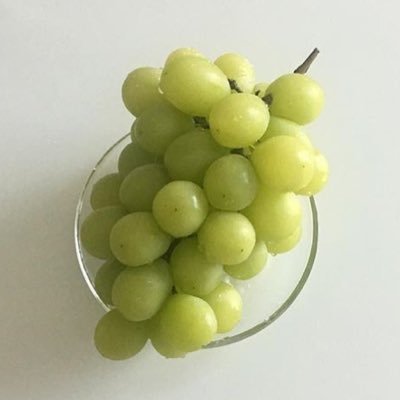 세상 모든 책들을 읽을 수 있다면,
