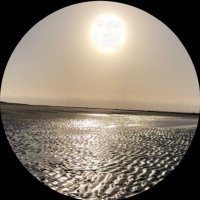 Rok_German (@rok_german) 's Twitter Profile Photo Rok_German (@rok_german) 's Twitter Profile Photo