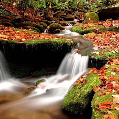 SridharanA74944's profile picture. 