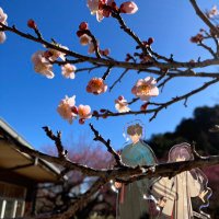 ちゃつみ (@cha23chan) 's Twitter Profile Photo ちゃつみ (@cha23chan) 's Twitter Profile Photo