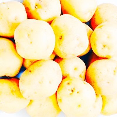🥔エレクトリカル・ポテト🥔さんのプロフィール画像