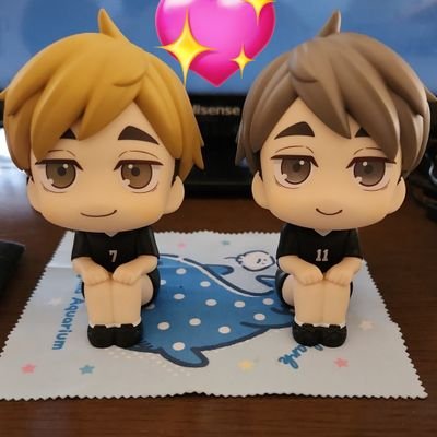 ミー305※さんのプロフィール画像
