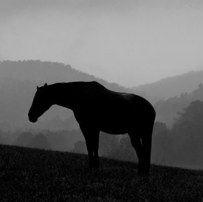 An artist and photographer inspired by beauty, reality, nature and The Road.
Pro Human.
Creating, Not Destroying.