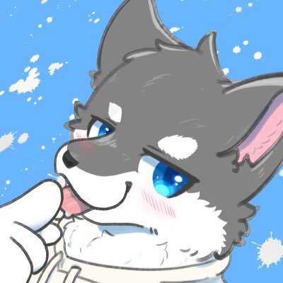 かふ@プロキオンnext→さんのプロフィール画像