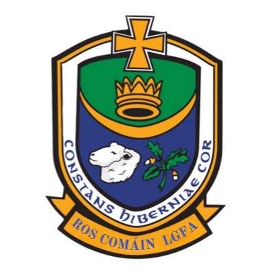 Roscommon LGFA Profile
