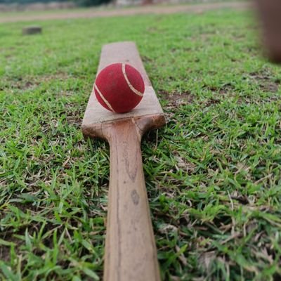 TERRIFIER12443's profile picture. 