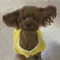 사룽 (@rang418) 's Twitter Profile