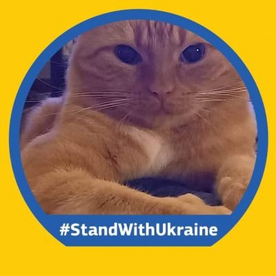 I'm a catmom of six cats, the CatGang, I love CATS ,
Criminal Minds ❤️
Madonna ❤️
I'm in my 50's ❤️
From Sweden 🇸🇪
@theCatGang3 Main account ❤️