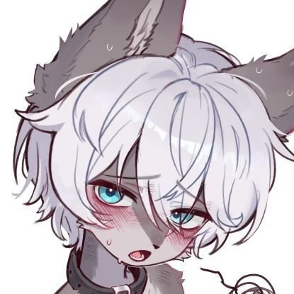 개과가 좋아요!
20⬆️ 가끔 nsfw요소 있을수있음!
not artist! 그림 안그려요!
all characters are 20+