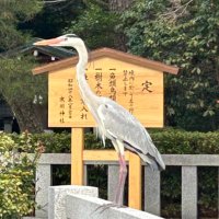 かっちゃん〜😆楽天ROOM〜 (@ryukyu55shinka) 's Twitter Profile