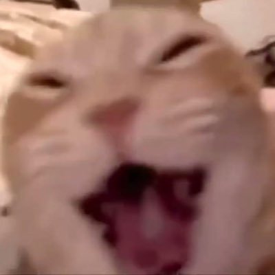 Retributors07's profile picture. Former Lead Technical Artist · Env/Tech Artist (EDF Project)

O3DE Engine Programming · Tools/Runtime Systems

OCS & Server-Meshing Research