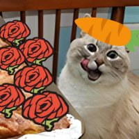 Qrest (@qr_est) 's Twitter Profile