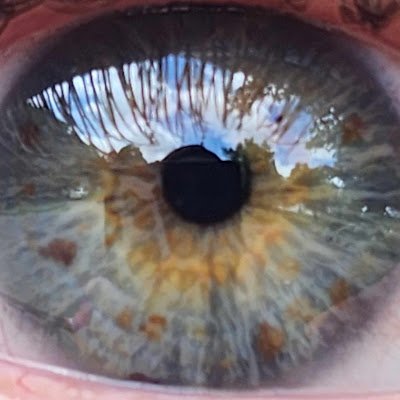 fairbanks1738's profile picture. 