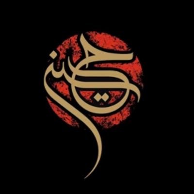 salmanuxd's profile picture. Pakistani | Muslim | Advocate for democracy & religious harmony | Driven by unity in diversity 🌍 | Design mind, harmony heart ✨