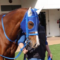 シロ (@u_129m) 's Twitter Profile Photo シロ (@u_129m) 's Twitter Profile Photo