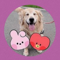 ꪜチルミル (@chirumiru_jk_v) 's Twitter Profile