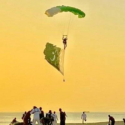 syedwajihkazmi's profile picture. 