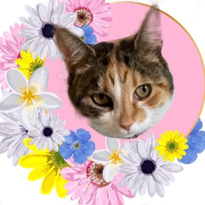 Tessie π RIP Olly πΎ Profile