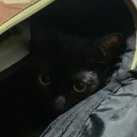 みずのこ (@mizunoko_math) 's Twitter Profile Photo