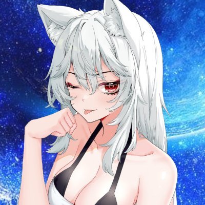 白猫のはくにゃん🤍🐈さんのプロフィール画像