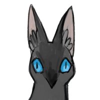 i📸ma🐿co (@imacomai) Twitter profile photo